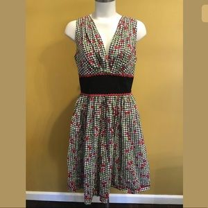 Gingham Cherry Pinup Dress Size Large Go Lightly
